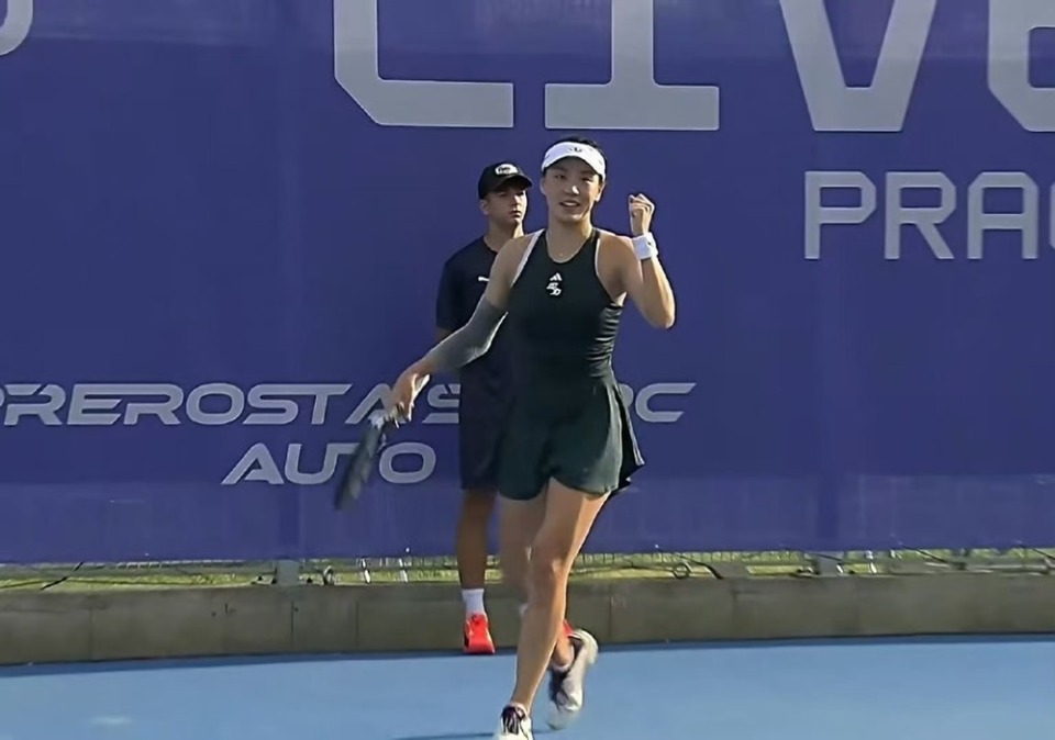 转会窗口的 转会窗口的